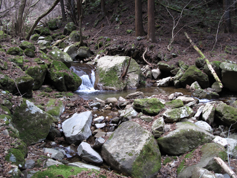 20170113hike (464)